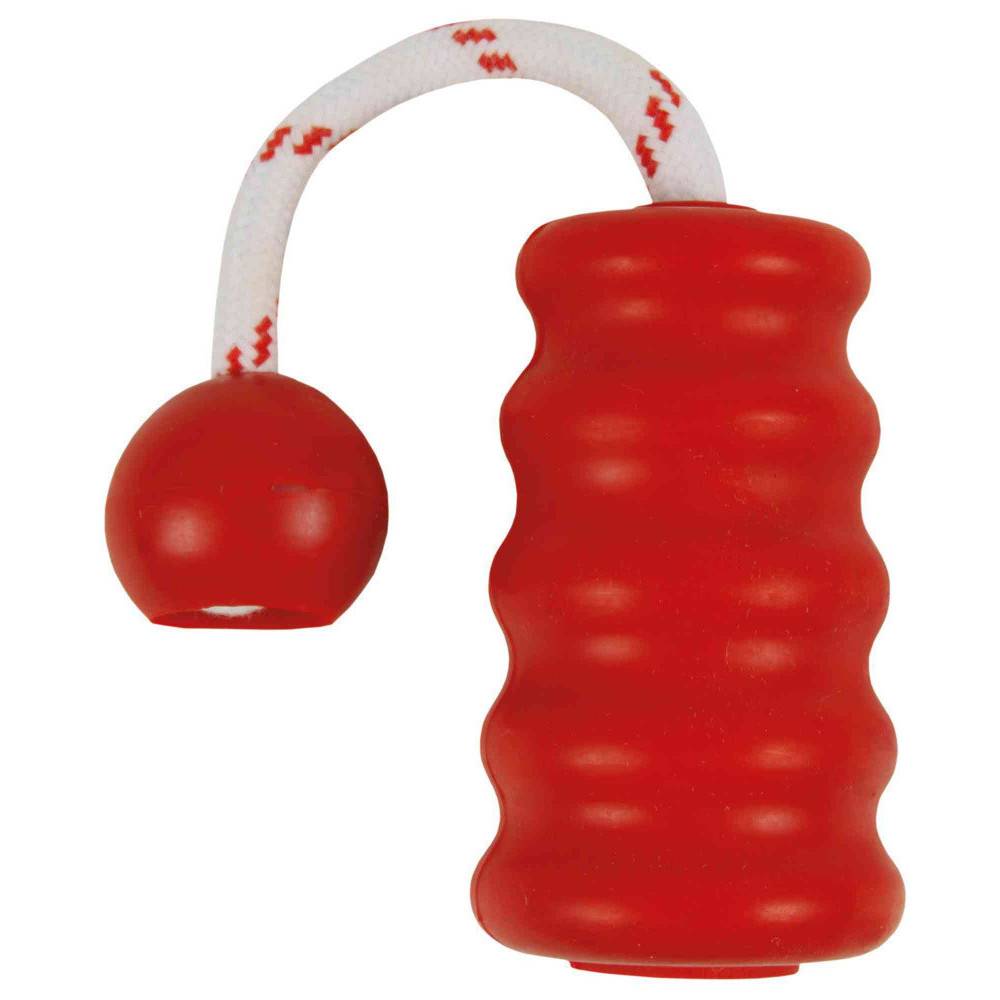 Trixie - Trixie - jouet aquatique  pour chien MOT-Fun 9 x 22 cm Coloris aléatoire - Image 1