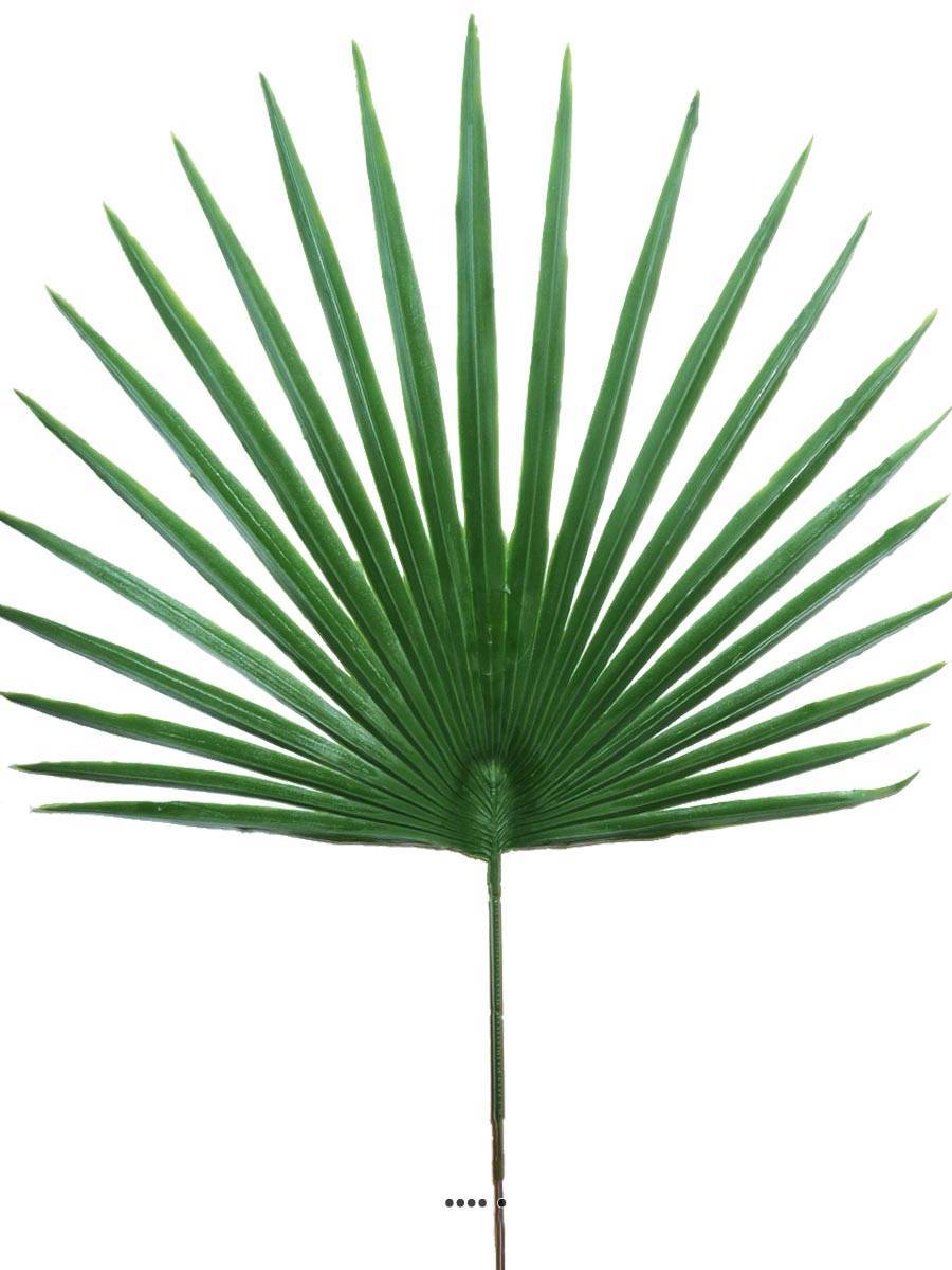 Artificielles - Feuille palmier Chamaerops artificielle H 53 cm D 36 cm ext