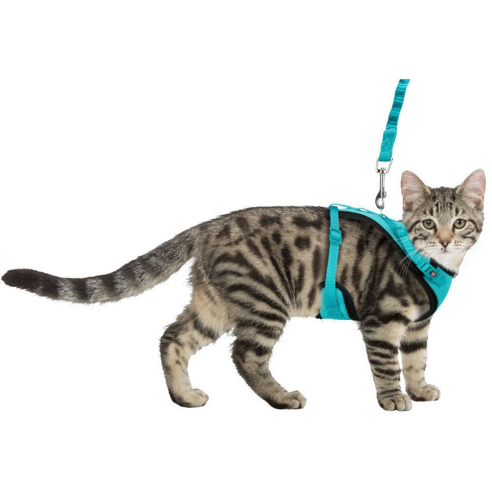 Harnais Y en maille avec laisse anti secousses, entièrement élastique pour chat - Image 1