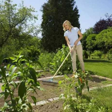 Gardena - Scarificateur 2 en 1 - Imagen 2