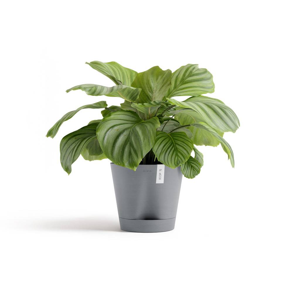 Ecopots - Pot Rond Venice 2 Bleu Gris + réservoir d'eau - Ø 30 x H. 26,3 cm - 4 L ECOPOTS