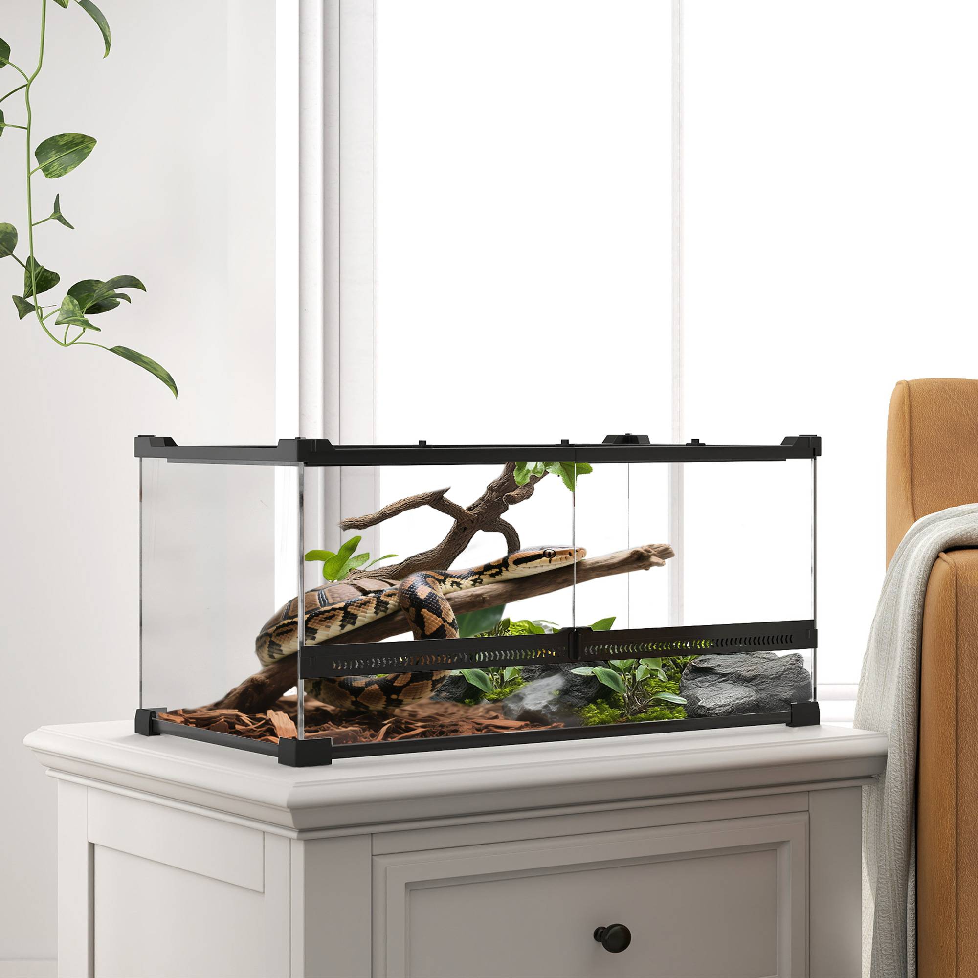 Terrarium pour reptiles verre transparent 50 x 30 x 25 cm - PANGIVO - Image 4