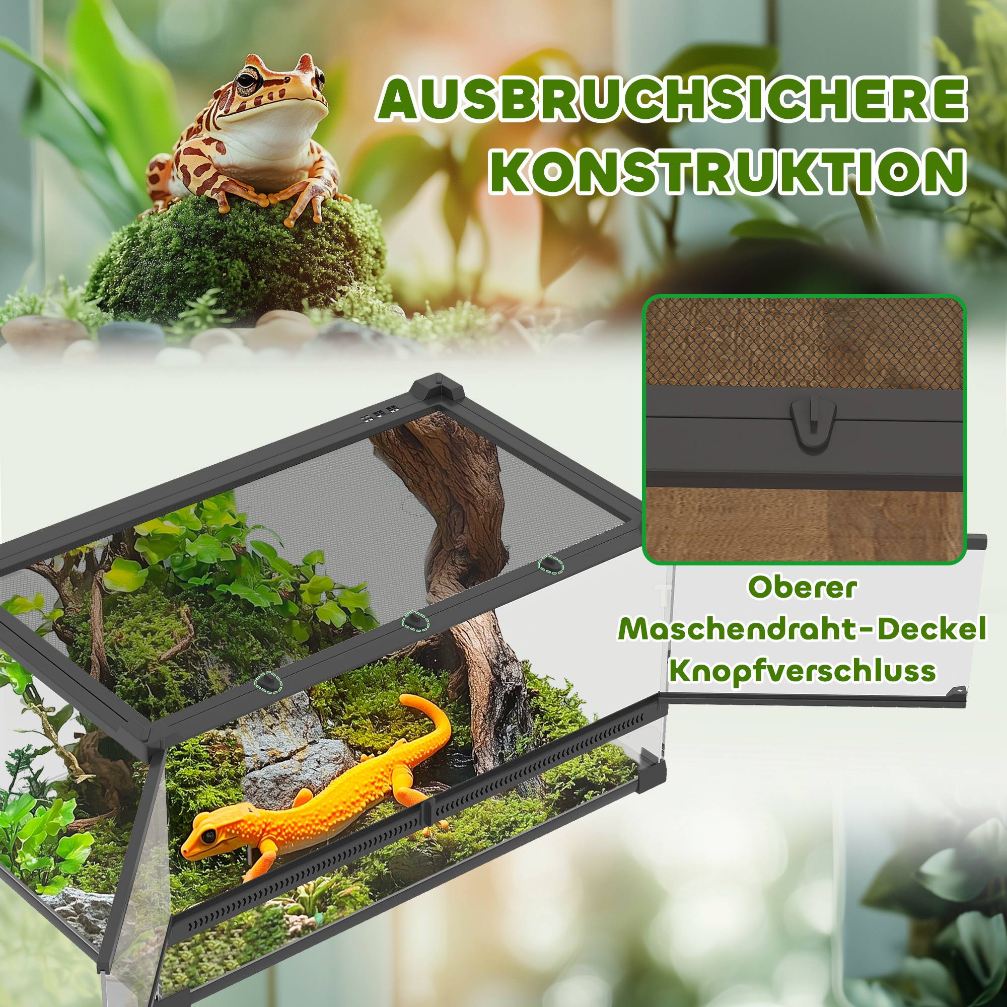 Terrarium pour reptiles verre transparent 50 x 30 x 25 cm - PANGIVO - Image 7