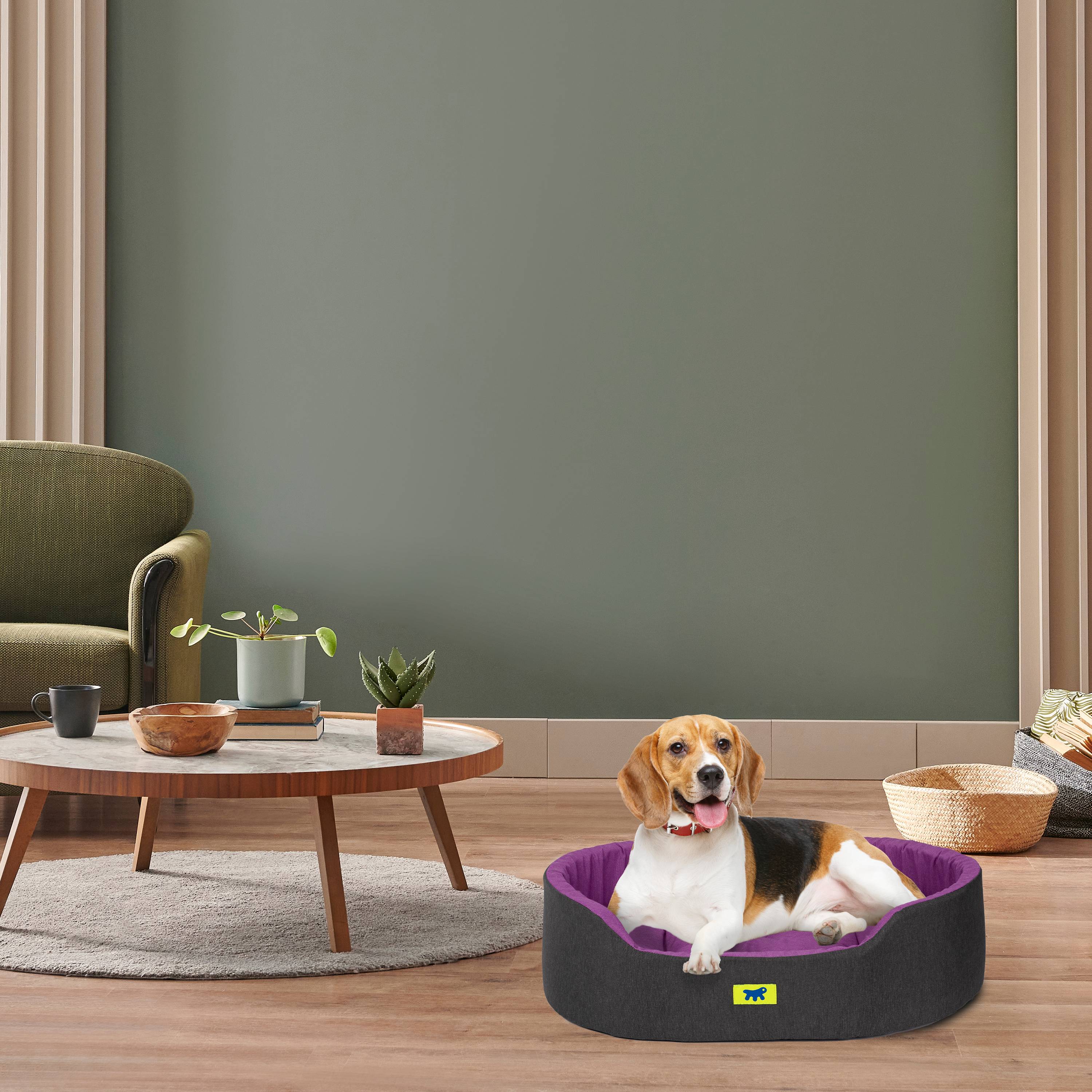 Ferplast - Ferplast Panier Chien Dandy, Coussin Amovible et Lavable, Housse en Coton avec Rembourrage Doux, Idéale également comme Niche pour Chat, 65 x 46 x H - Imagen 3