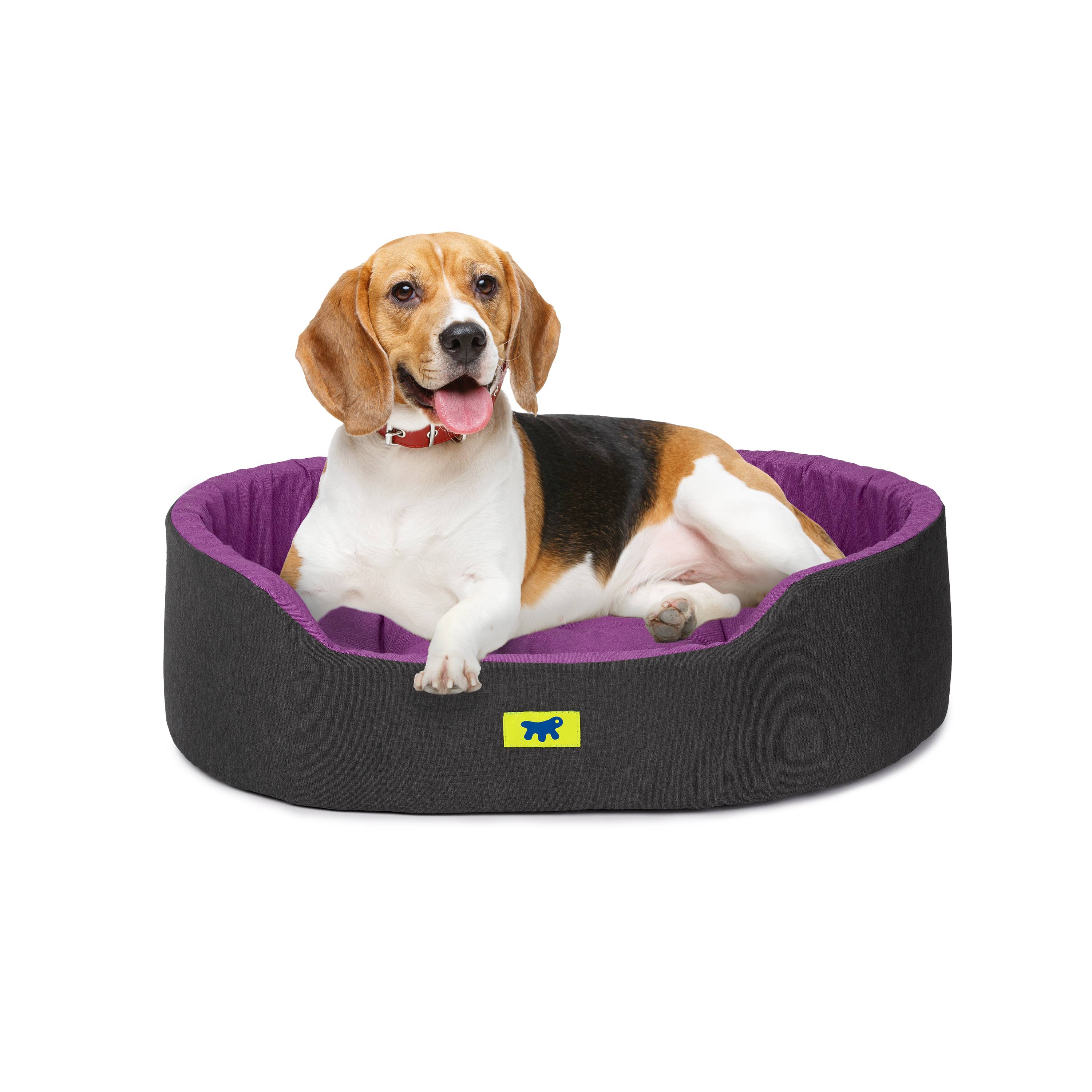 Ferplast - Ferplast Panier Chien Dandy, Coussin Amovible et Lavable, Housse en Coton avec Rembourrage Doux, Idéale également comme Niche pour Chat, 65 x 46 x H - Imagen 4