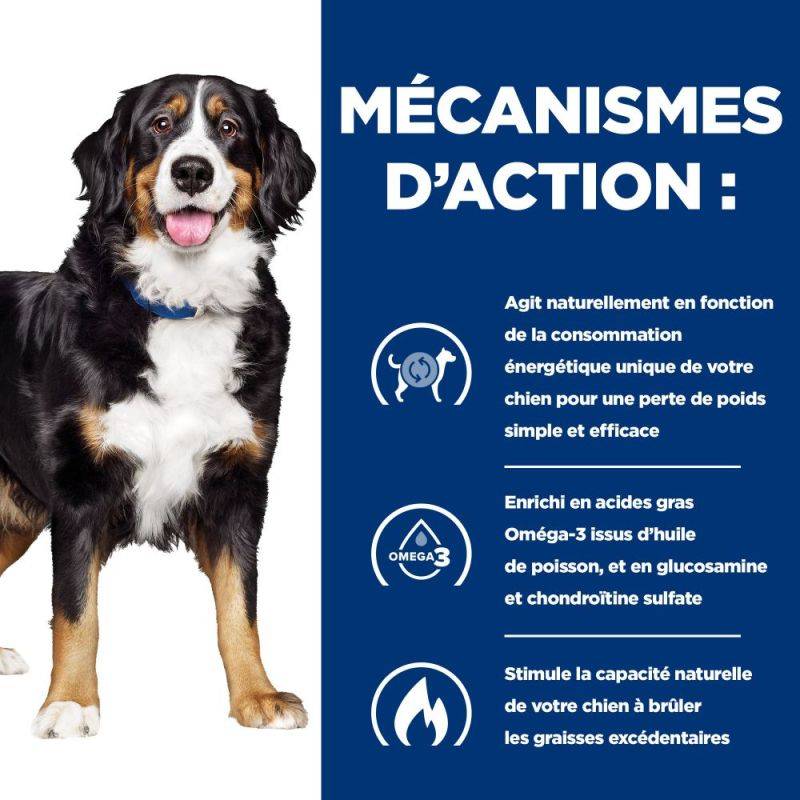 CROQUETTES CHIEN ADULT PRESCRIPTION DIETS J/D METABOLIC + MOBILITY - HILL'S 4 kg - Image 5