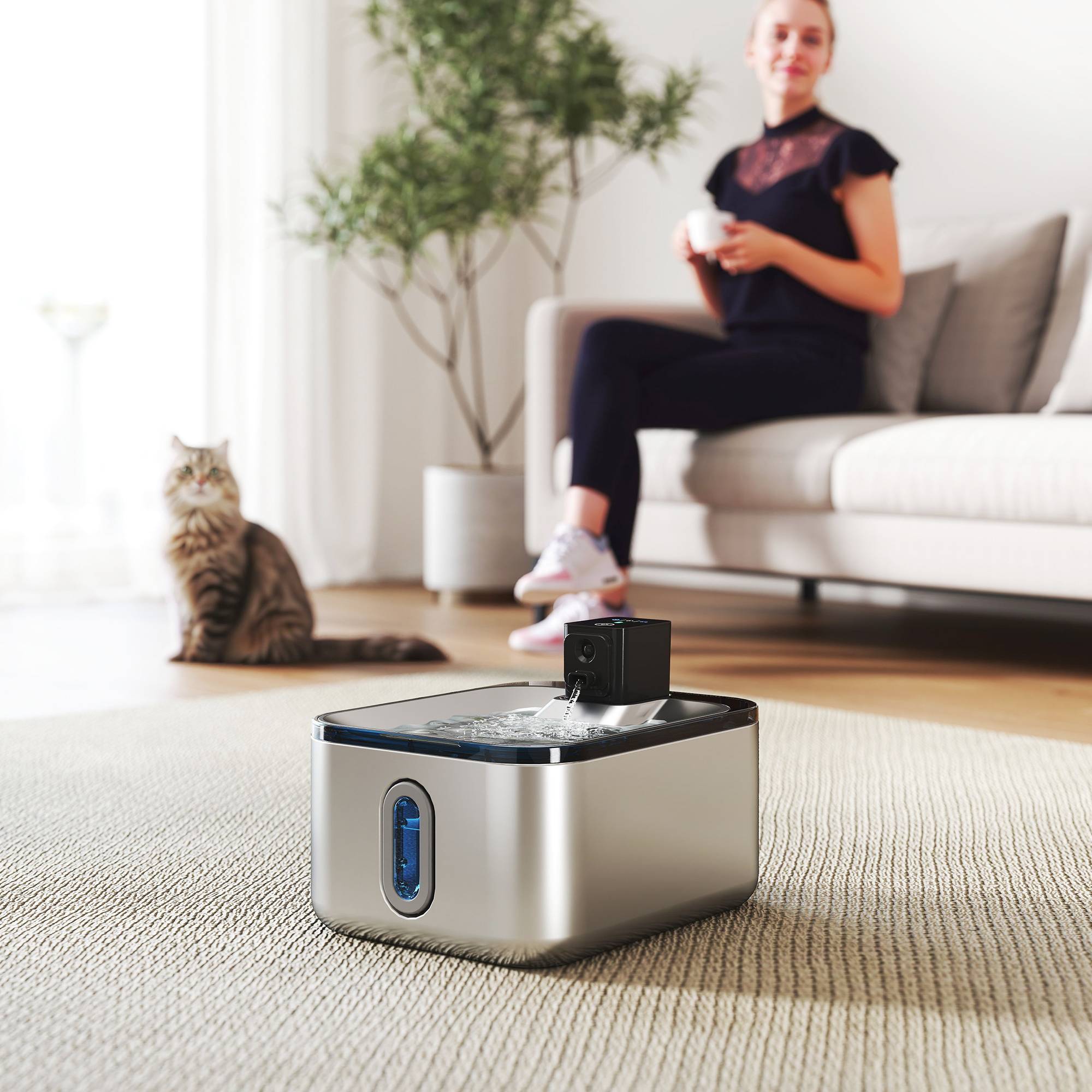 Fontaine eau chat automatique inox 5L silencieuse, filtre 3 étapes, chargeur USB, argent - Image 3