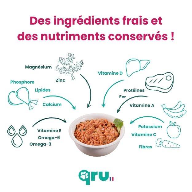 0 - QRU - Aliment barf complet pour chien - Poulet - 450 g - Image 6
