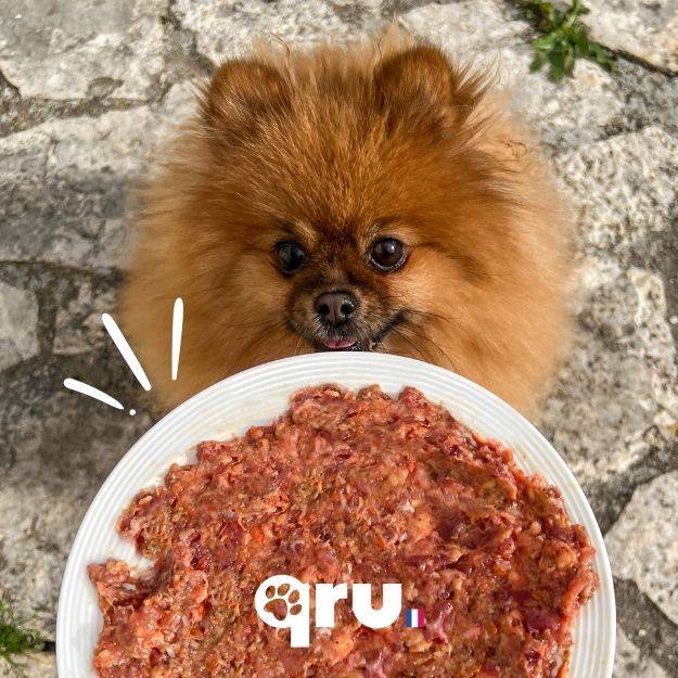 0 - QRU - Aliment barf complet pour chien - Poulet - 450 g - Image 7