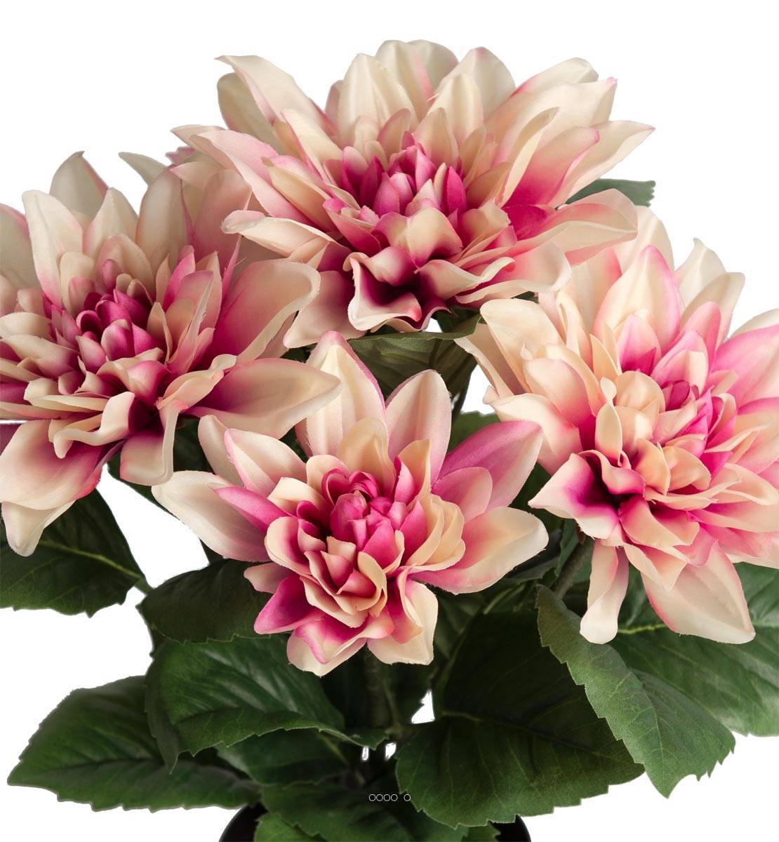 Artificielles - Dalhia commun artificiel en pot, 5 fleurs, H 30 cm Rose-crème - couleur: Rose-crème - Imagen 3