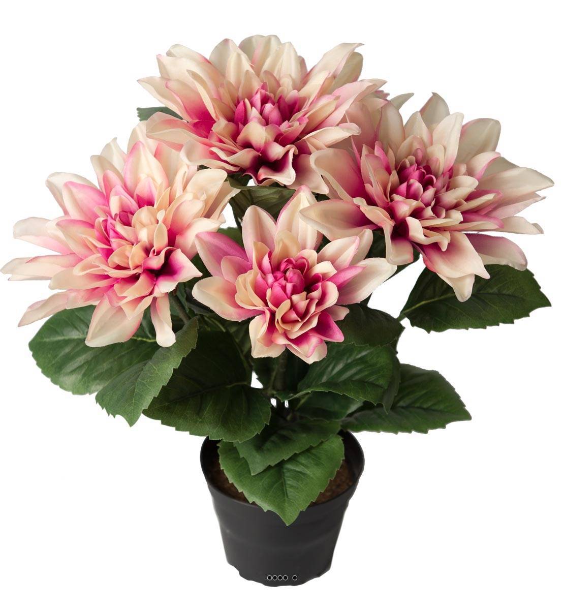 Artificielles - Dalhia commun artificiel en pot, 5 fleurs, H 30 cm Rose-crème - couleur: Rose-crème - Imagen 1