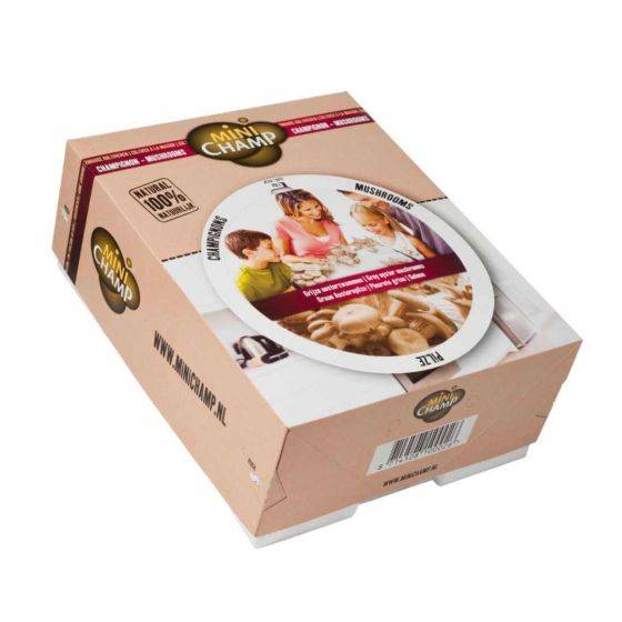 mini champ - Kit culture pleurotes gris Minichamp 7.5 litres