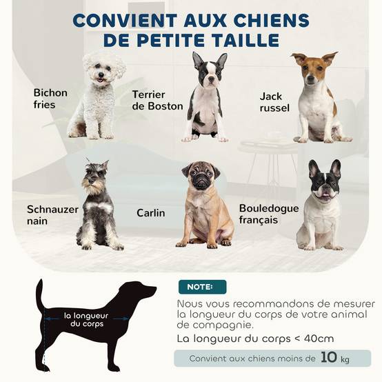 Canapé velours avec coffre rangement chien chat dossier accoudoirs 76cm vert - ComfortXL Outdoor Living - Image 10