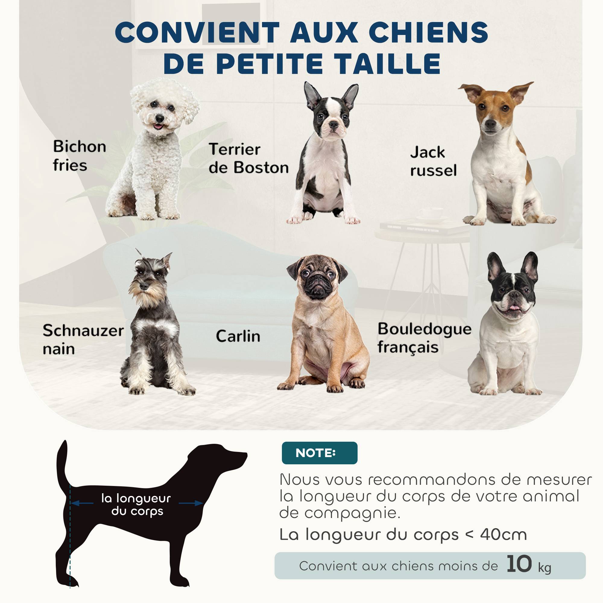 Canapé velours avec coffre rangement chien chat dossier accoudoirs 76cm vert - ComfortXL Outdoor Living - Image 10