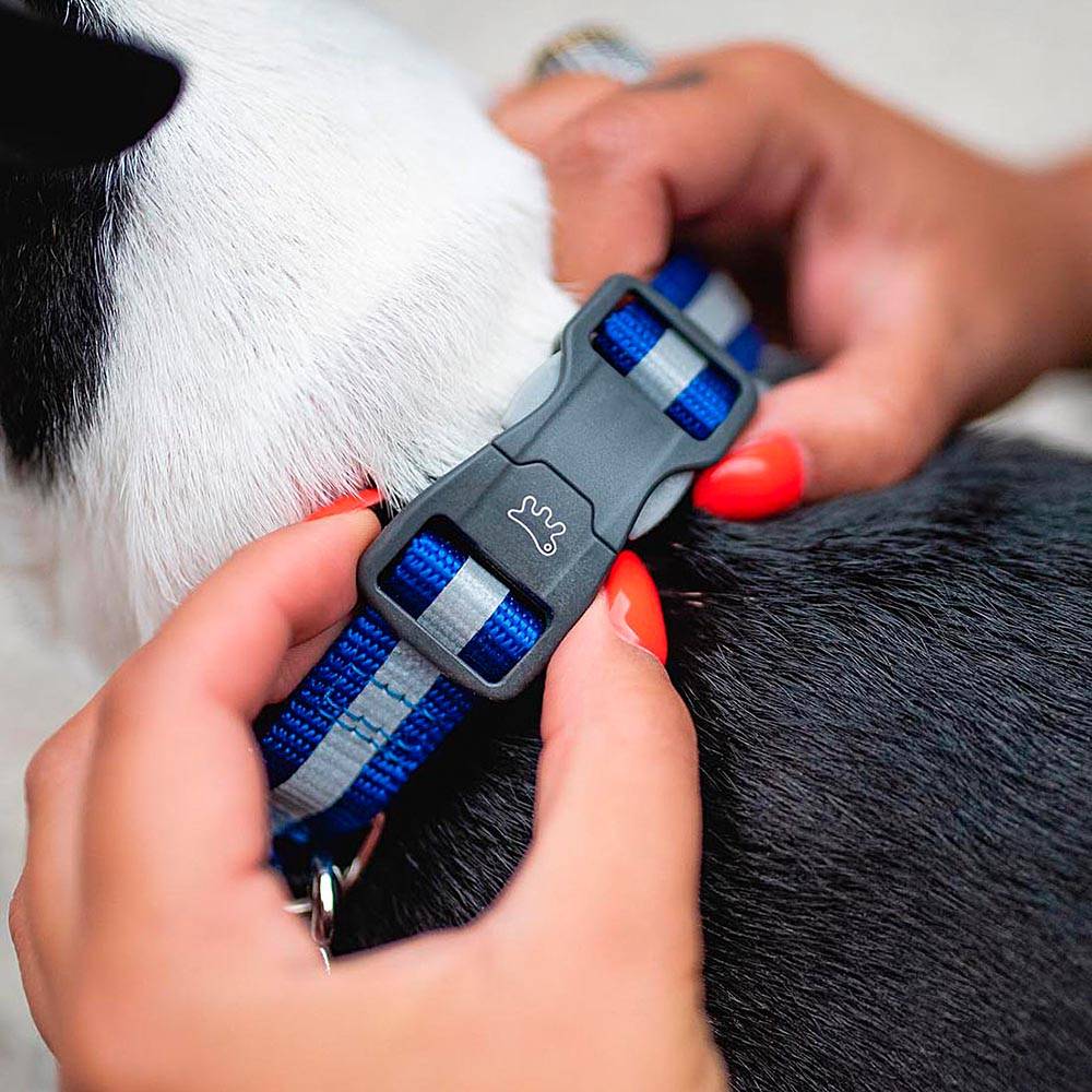 Ferplast - Collier Réfléchissant pour Chiens CLUB REFLEX C20/56 en Nylon avec Boucle Magnétique, idéal pour les promenades en soirée - Imagen 4