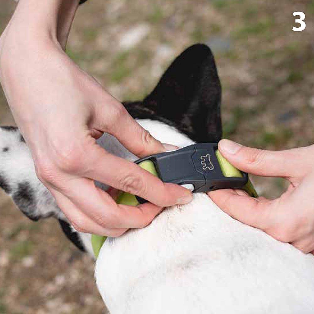 Ferplast - Collier Réfléchissant pour Chiens CLUB REFLEX C20/56 en Nylon avec Boucle Magnétique, idéal pour les promenades en soirée - Imagen 5