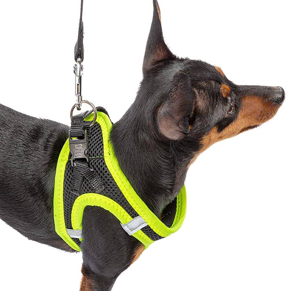 Ferplast - Ferplast Harnais Petit Chien KAORI XS, Harnais pour chat respirant, rembourré et réglable, facile à porter, bords réfléchissants, poitrine 32-36 cm. - Imagen 4