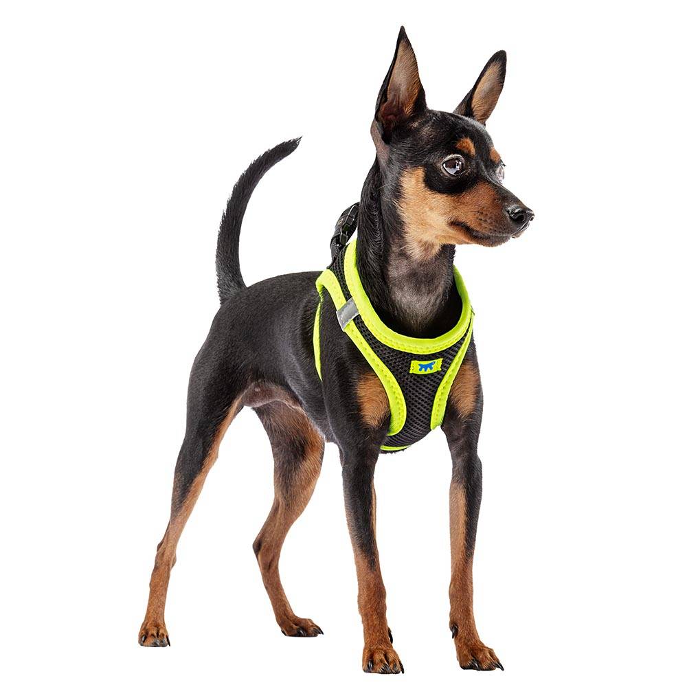 Ferplast - Ferplast Harnais Petit Chien KAORI XS, Harnais pour chat respirant, rembourré et réglable, facile à porter, bords réfléchissants, poitrine 32-36 cm. - Imagen 3