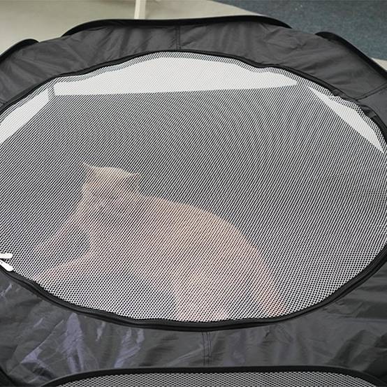 Tunnel pliable pour chat d'intérieur DtopbuyAge - Image 5
