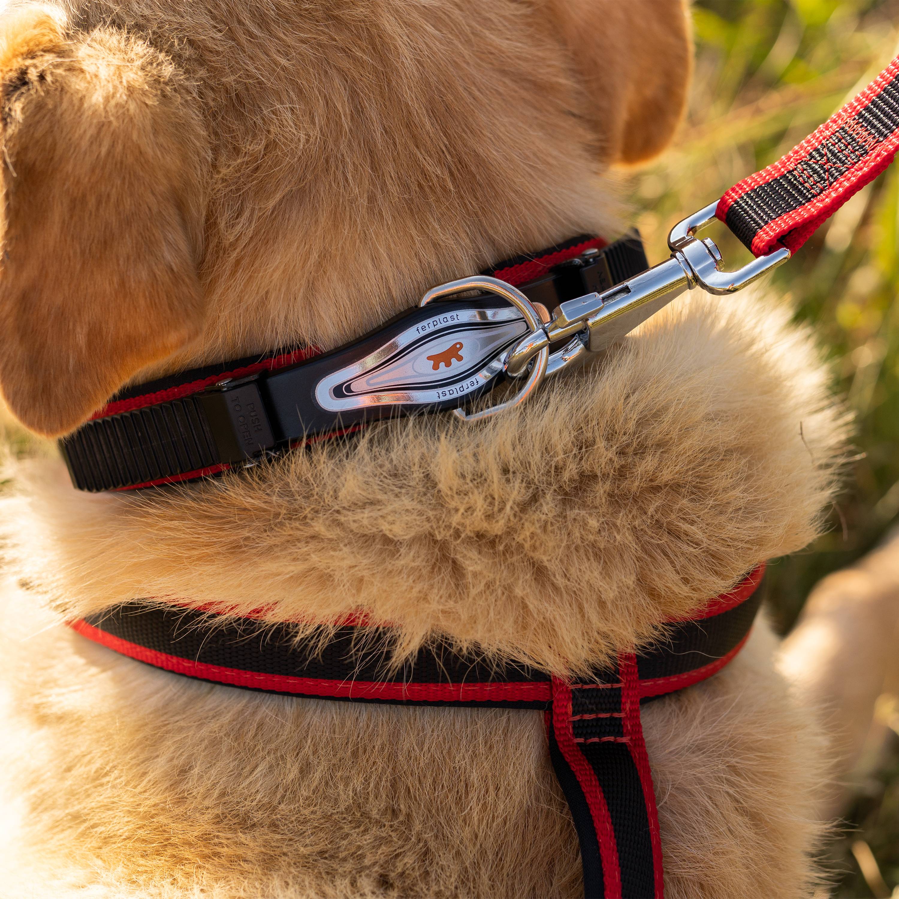 Ferplast - Ferplast ERGOCOMFORT GM25/55 Laisse courte en nylon pour chien, Poignée ergonomique, Rembourrage doux, Longueur 55 cm x 2,5 cm, Rouge - Imagen 4