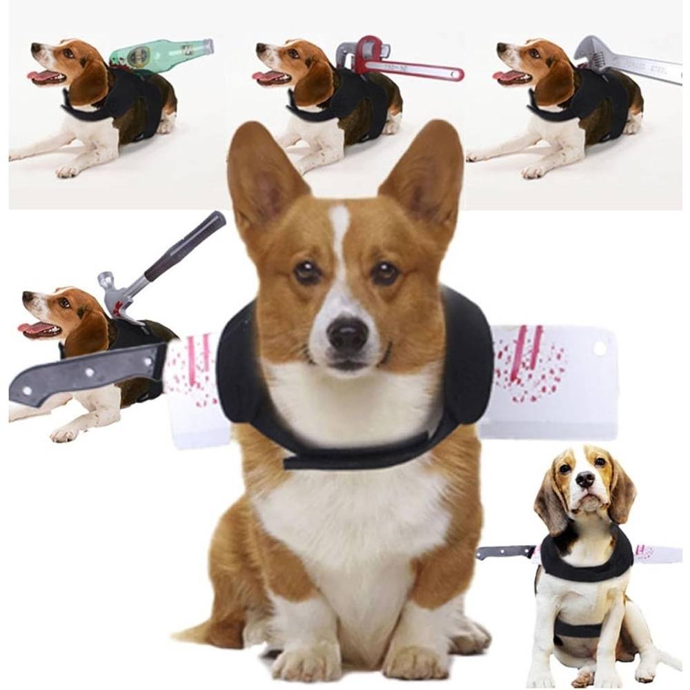 DtopbuyAge - Vêtements d'halloween pour chiens M DtopbuyAge - Image 3