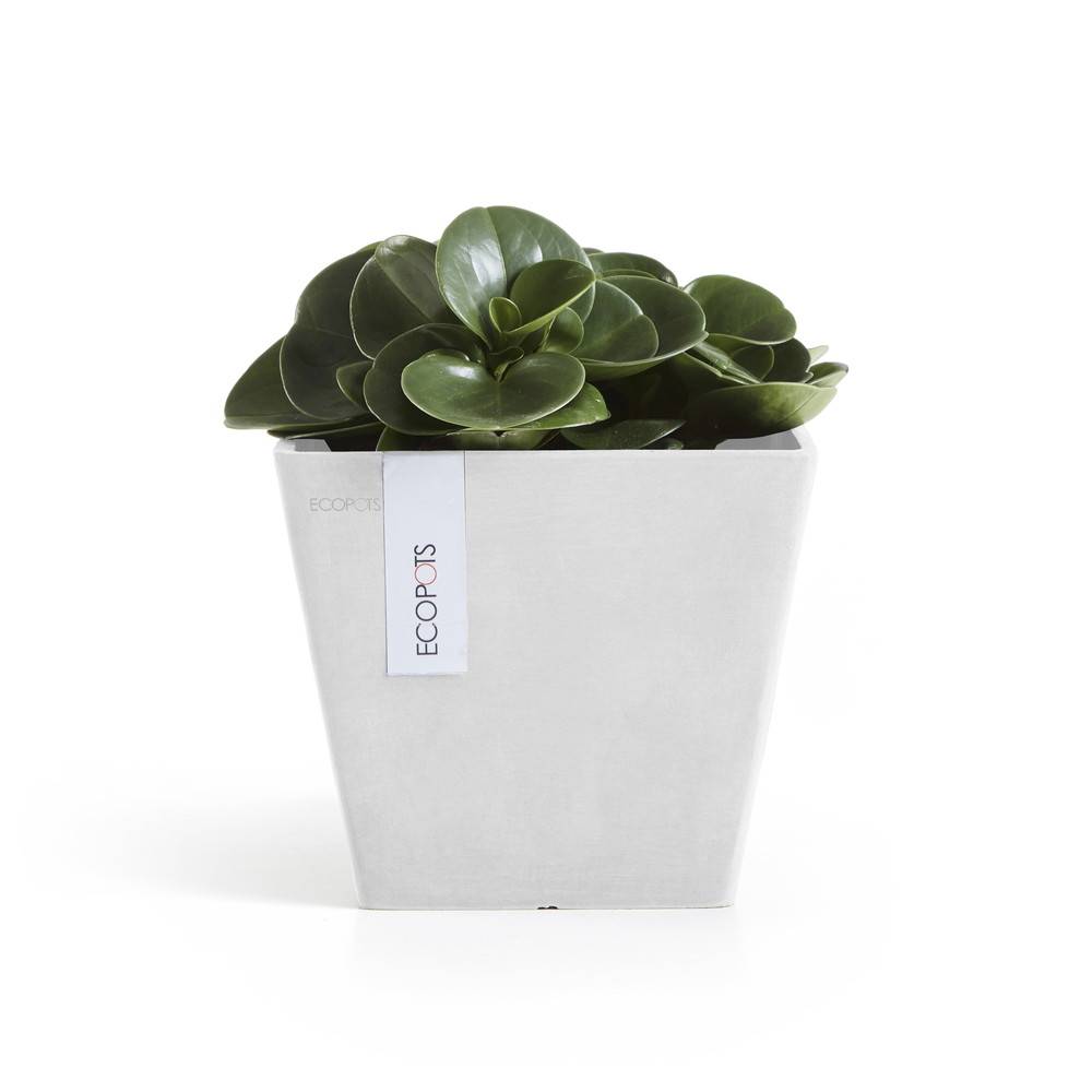 Ecopots - Pot Carré Rotterdam 20 Blanc Pur - 20 x 20 x H. 17,5 cm - 5,2 L ECOPOTS - Imagen 1