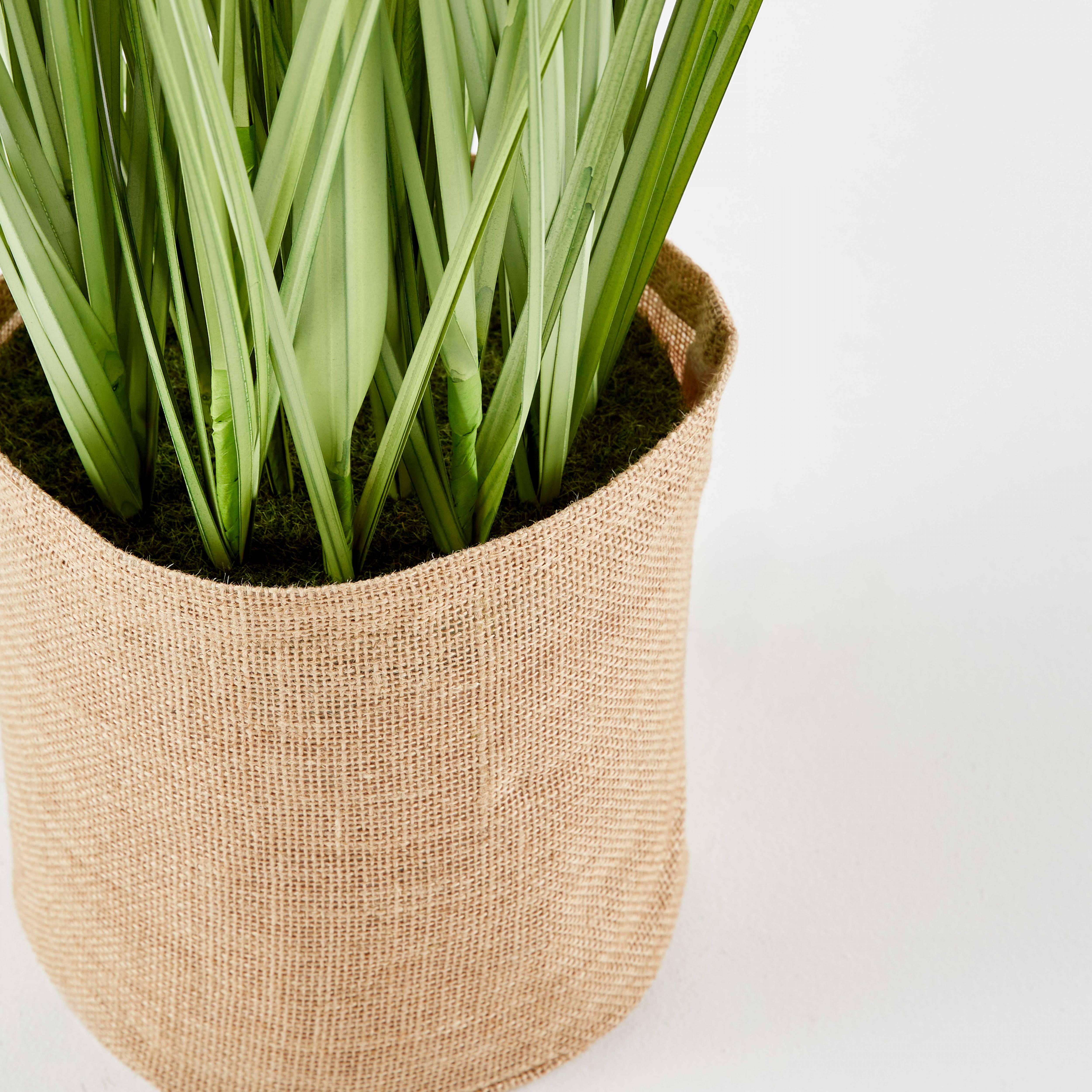 Oviala - Plante artificielle en pot Herbe Folle Miscanthus 155cm
 - Oviala - Imagen 4