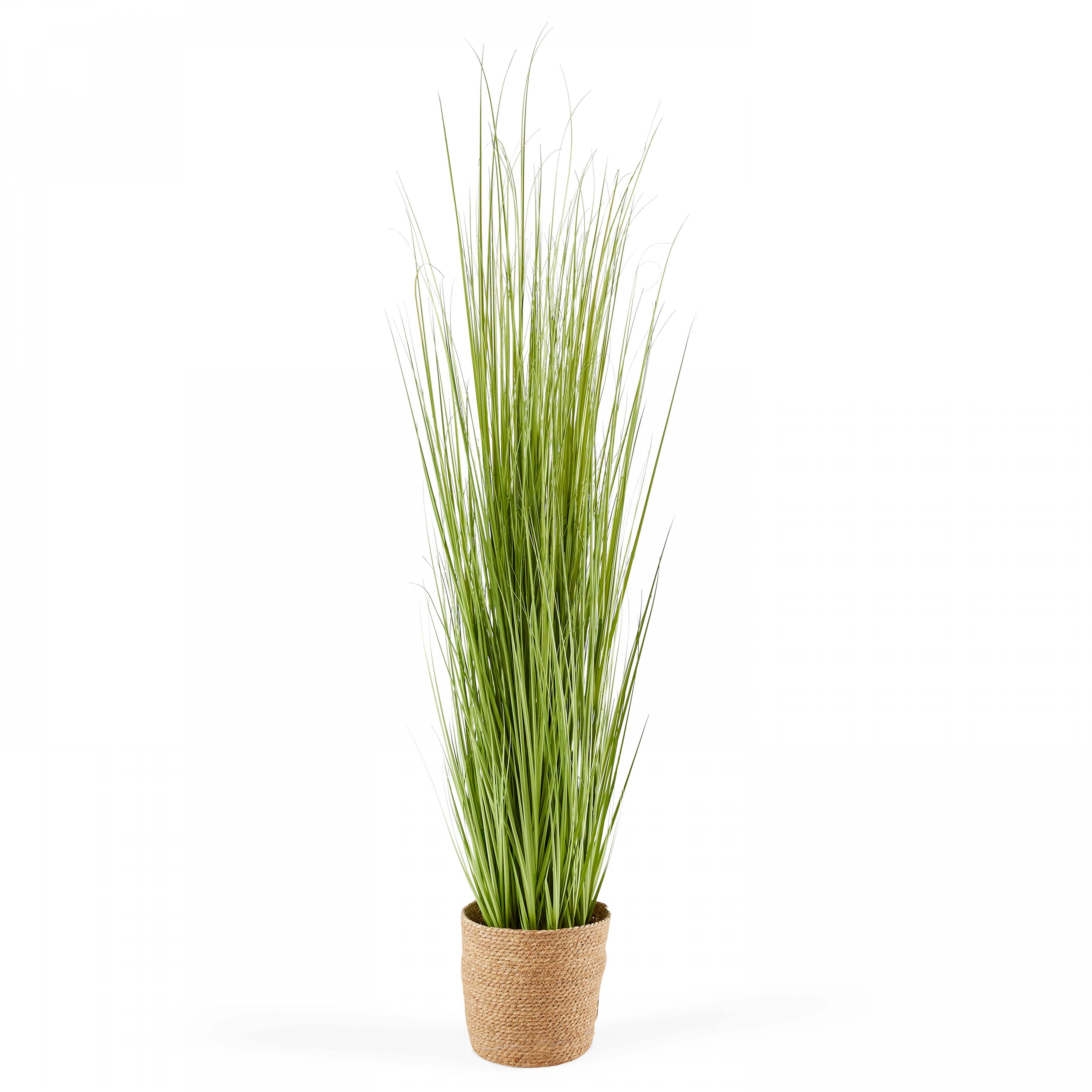 Oviala - Plante artificielle en pot Herbe Folle Miscanthus 155cm
 - Oviala - Imagen 1
