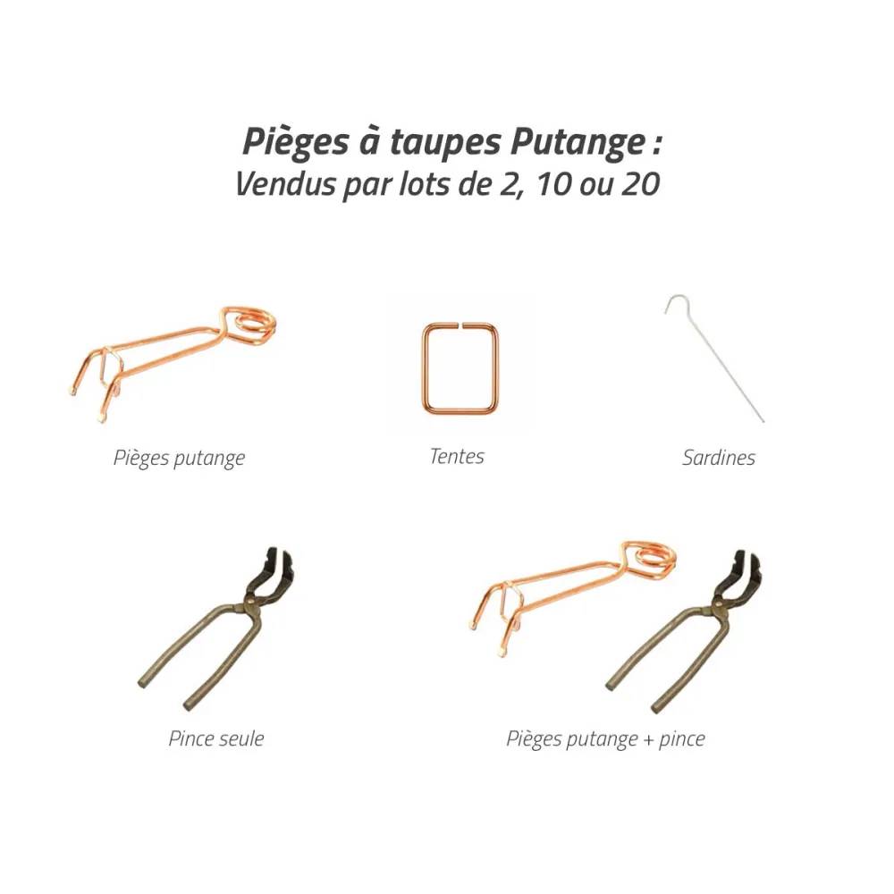 Autre - Lot de 10 tentes pour piège à taupe Putange - Image 6