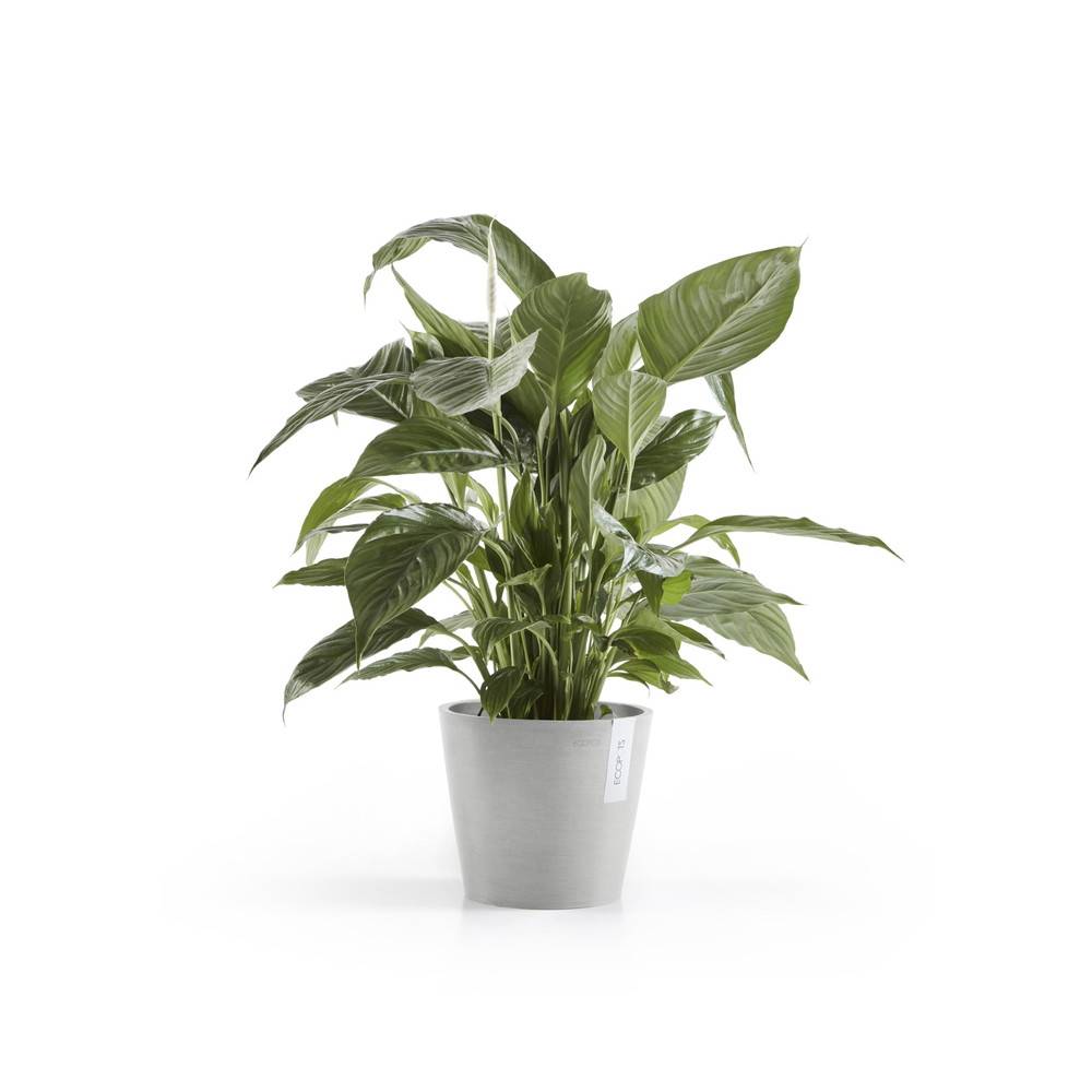 Ecopots - Pot Rond Amsterdam 20 Blanc Gris - Ø 20 x H. 17,5 cm - 4 L ECOPOTS - Imagen 1