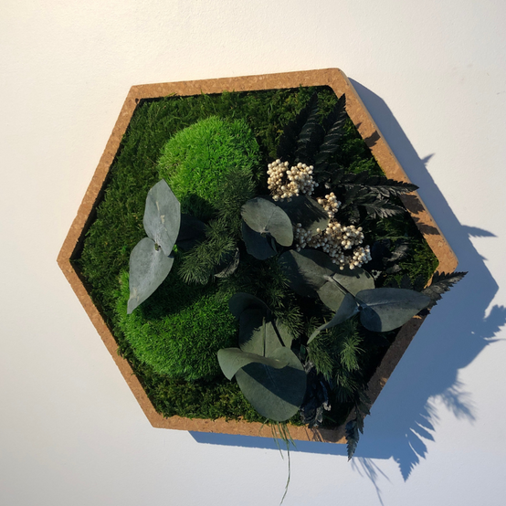 Naturalys - Tableau végétal mural stabilisé 34cm Hex - Naturalys - Image 4