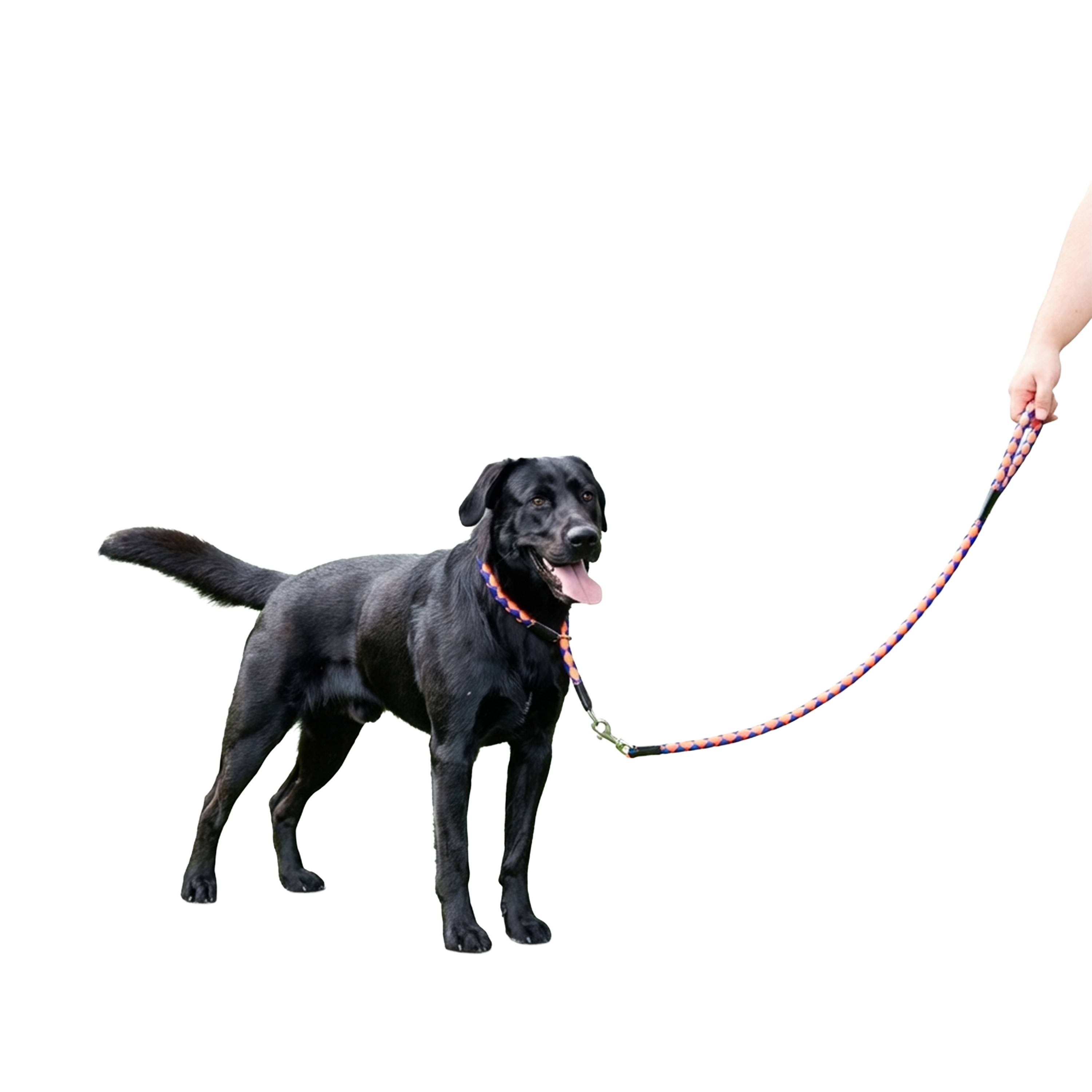 Ferplast - Laisse pour Chiens en Nylon tressé TWIST MATIC G18/110, avec Mousqueton Magnétique Automatique - Imagen 4