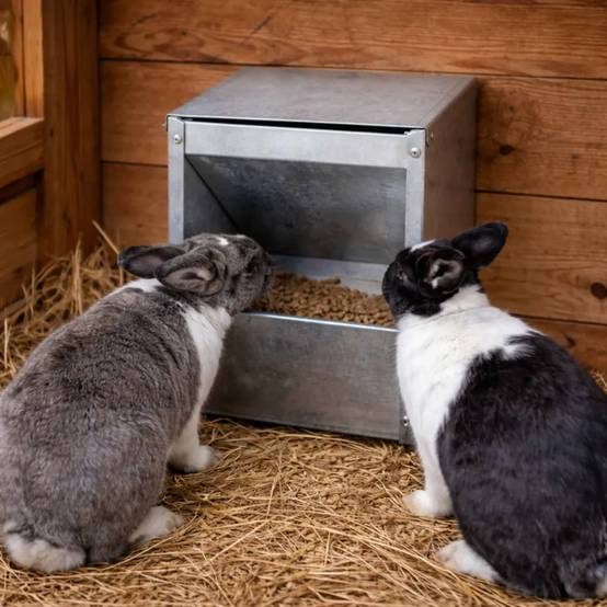 Autre - Mangeoire murale metal galvanisé lapin, rongeurs 2,5 Kg - Image 1