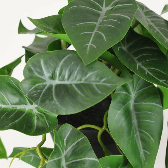 Ligne Deco - Plante artificielle tombante 18cm lot de 2 - Image 5