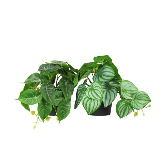 Ligne Deco - Plante artificielle tombante 18cm lot de 2 - Image 1