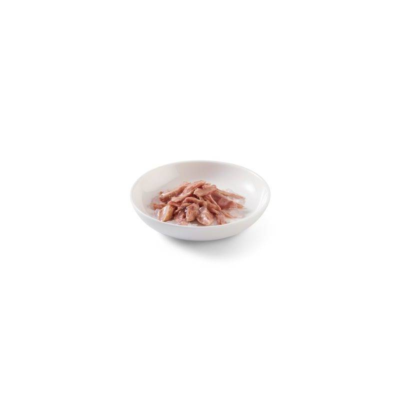 Schesir - Pâtée en gelée thon chat (boite 85g) - SCHESIR 85 g - Image 3