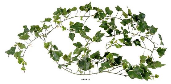 Guirlande de lierre anglais artificiel, anti-UV, L 200 cm Blanc-vert - couleur: Blanc-vert - Image 1