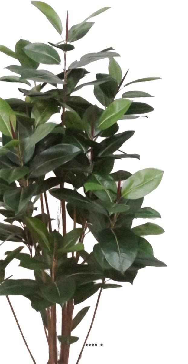 Artificielles - Ficus Robusta factice tronc PE en pot beau et rare H180cm D95cm Vert - dimhaut: H 180 cm - couleur: Vert - Imagen 3