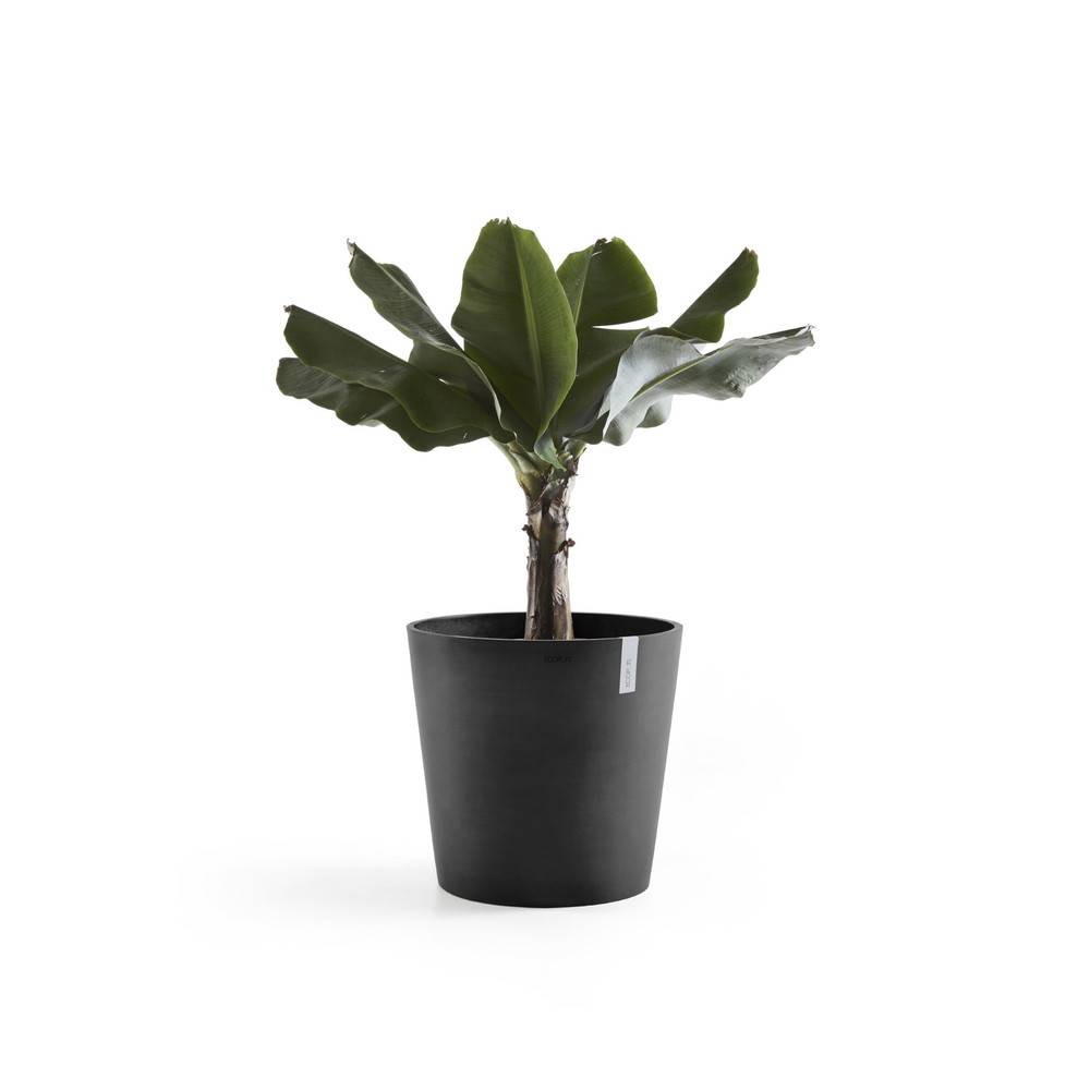 Ecopots - Pot Rond Amsterdam 50 Gris Foncé + réservoir d'eau - Ø 50 x H. 43,8 cm - 62 L ECOPOTS - Imagen 3