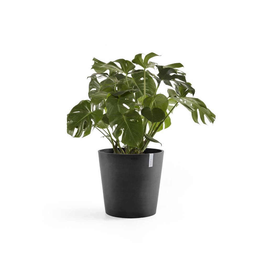 Ecopots - Pot Rond Amsterdam 50 Gris Foncé + réservoir d'eau - Ø 50 x H. 43,8 cm - 62 L ECOPOTS - Imagen 1