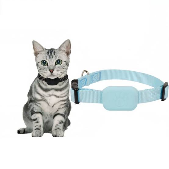 IntiMeg - Collier GPS pour animaux de compagnie Noir IntiMeg - Image 5