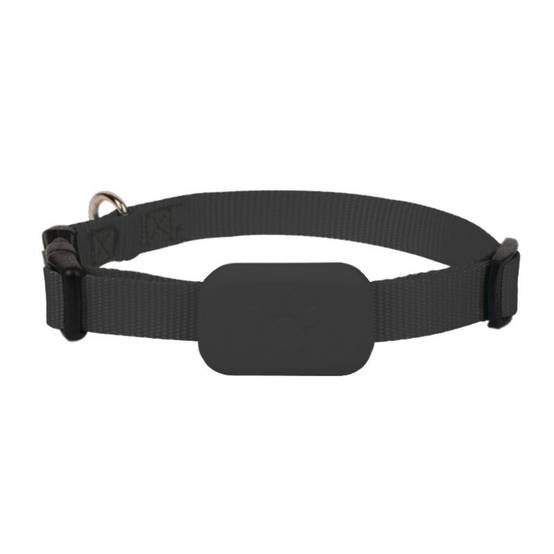 IntiMeg - Collier GPS pour animaux de compagnie Noir IntiMeg - Image 2