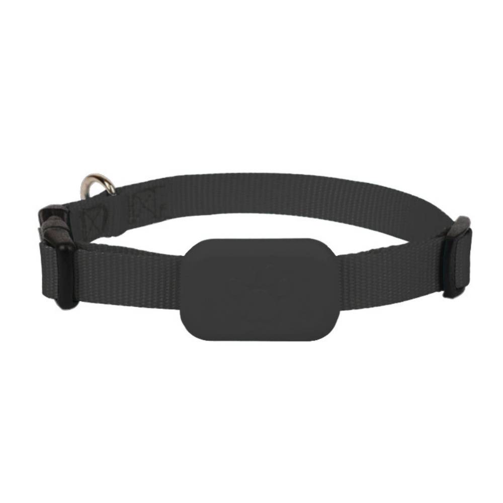 IntiMeg - Collier GPS pour animaux de compagnie Noir IntiMeg - Image 2