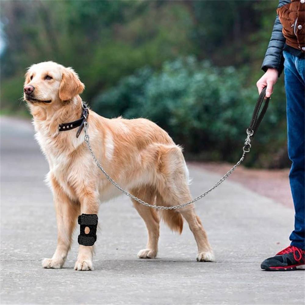 DtopbuyAge - 2 genouillères pour chien taille S DtopbuyAge - Image 3