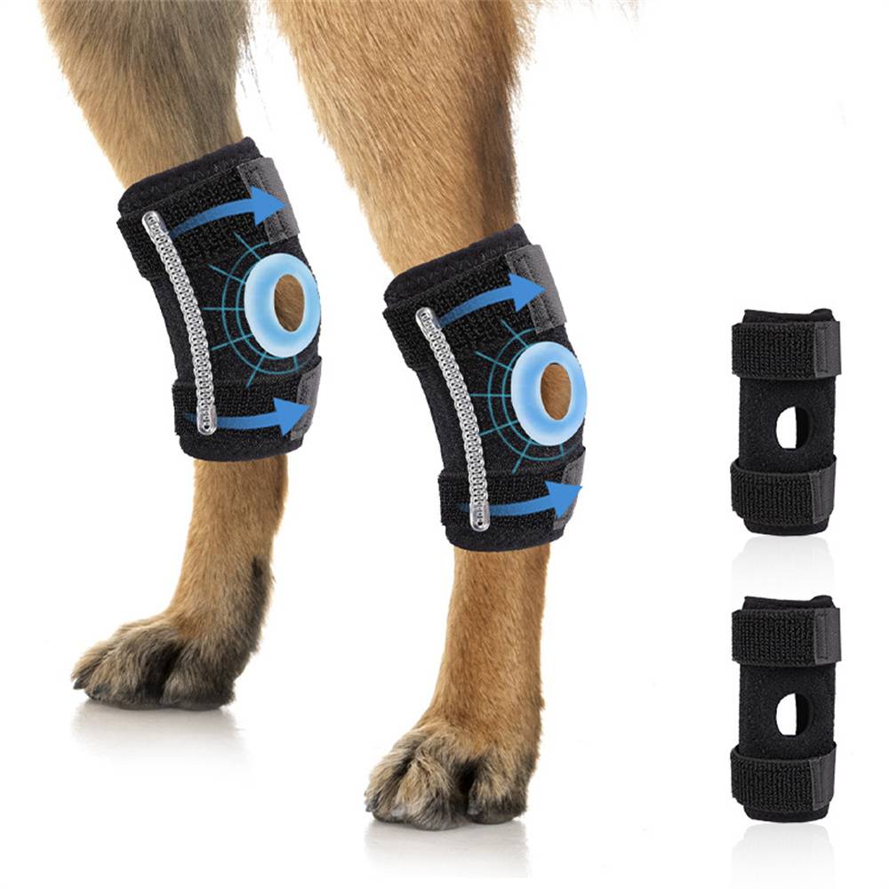 DtopbuyAge - 2 genouillères pour chien taille S DtopbuyAge - Image 1