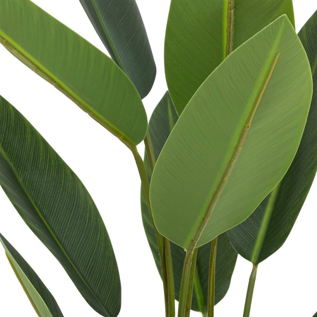Atmosphera - Plante artificielle strelitzia H97cm vert - Atmosphera Créateur d'intérieur - Imagen 2