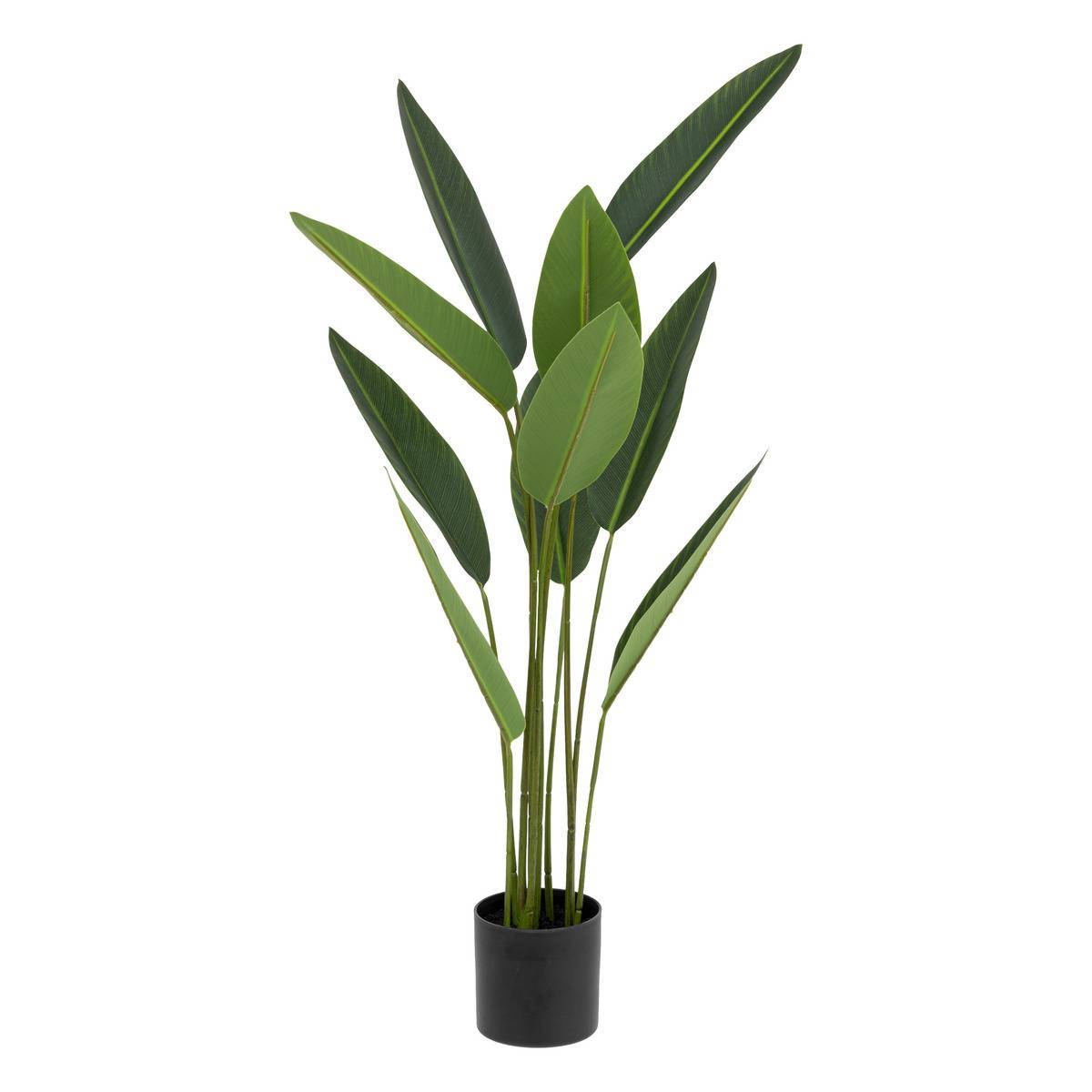 Atmosphera - Plante artificielle strelitzia H97cm vert - Atmosphera Créateur d'intérieur - Imagen 1