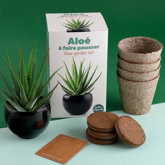 Radis et Capucine - Radis et Capucine - Kit Aloe Vera - Image 3