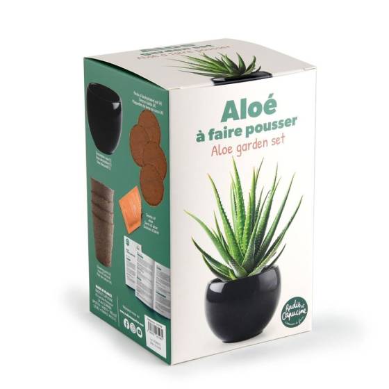 Radis et Capucine - Radis et Capucine - Kit Aloe Vera - Image 1