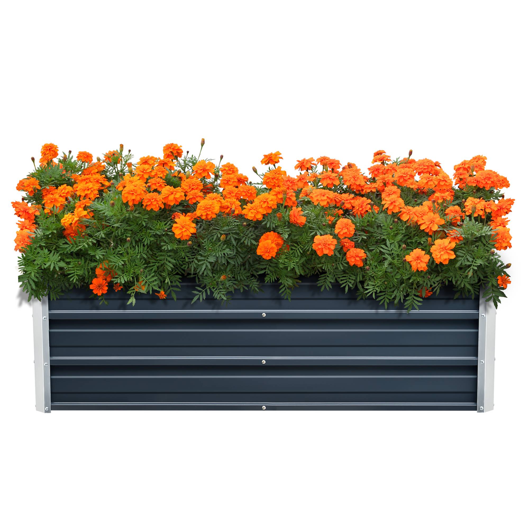 Jardinière Nijmegen à barre de séparation 125 x 47 x 40 cm anthracite [en.casa] - Imagen 1